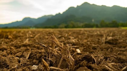 La industria agrícola es una de las más golpeadas por los eventos climáticos extremos