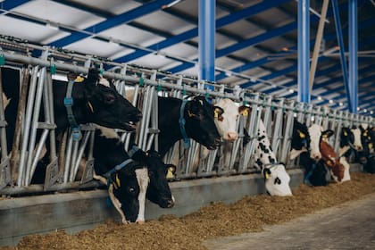 La industria agropecuaria sigue siendo uno de los sectores más destacados del país