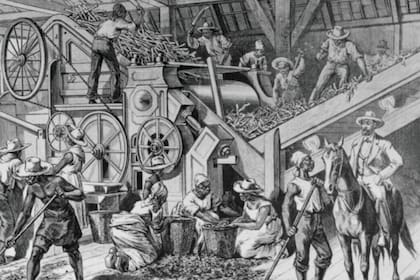 La industria azucarera de Cuba se sustentó en la mano de obra esclava hasta la segunda mitad del siglo XIX