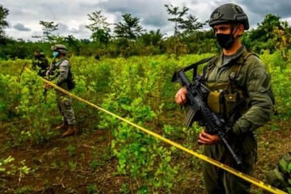 La industria de la cocaína sigue siendo uno de los principales enemigos del gobierno colombiano