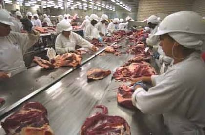 Producción de carne
