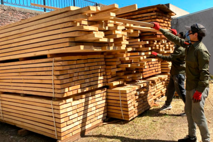 La industria PYME se desplomó un 26,9% interanual en diciembre por las dificultades para reponer stock, la falta de precios y la incertidumbre; la industria maderera es uno de los sectores que más lo reflejó