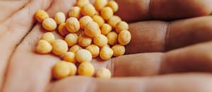 Semilleros y AmCham celebraron un cambio para patentes y dicen que mejorará las inversiones en biotecnología agrícola