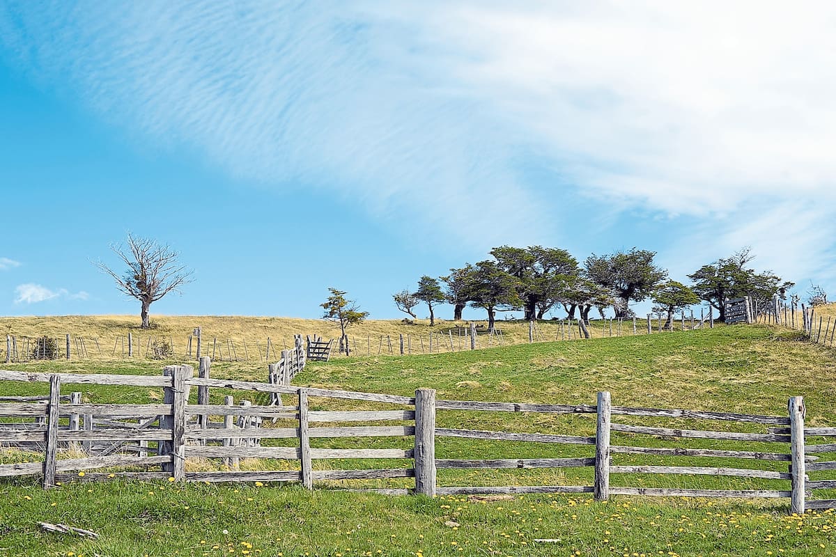 La inflación, la devaluación del peso, la presión impositiva y el efecto de incertidumbre que genera un año electoral dilatan las decisiones; los precios por zona, por qué hay oportunidades y dónde están