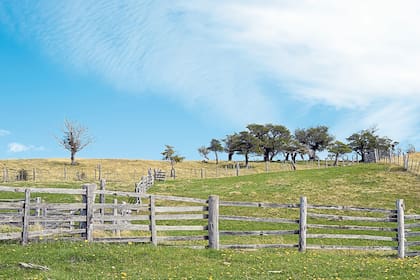 La inflación, la devaluación del peso, la presión impositiva y el efecto de incertidumbre que genera un año electoral dilatan las decisiones; los precios por zona, por qué hay oportunidades y dónde están