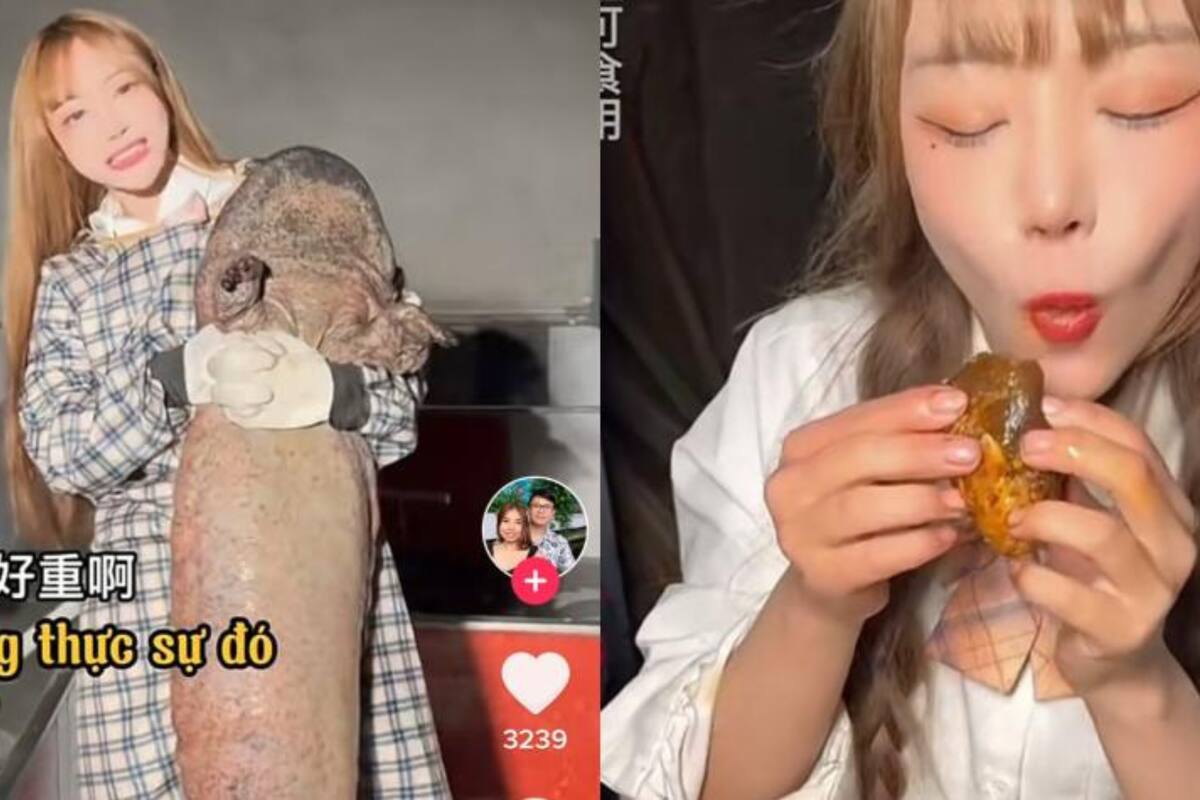 La influencer china cocinó una especie que se encuentra en peligro de extinción