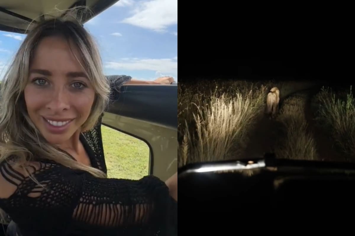 La influencer que viajó a Tanzania y casi no pasa la noche por la presencia de un león