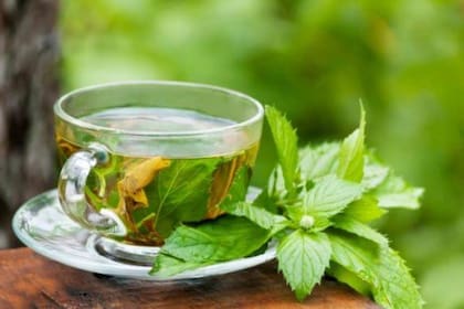 La infusión que sirve para calmar la tos y el resfrío