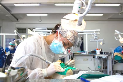 La iniciativa apunta a asegurar la continuidad de la atención, ampliar la oferta de servicios y aliviar la sobrecarga