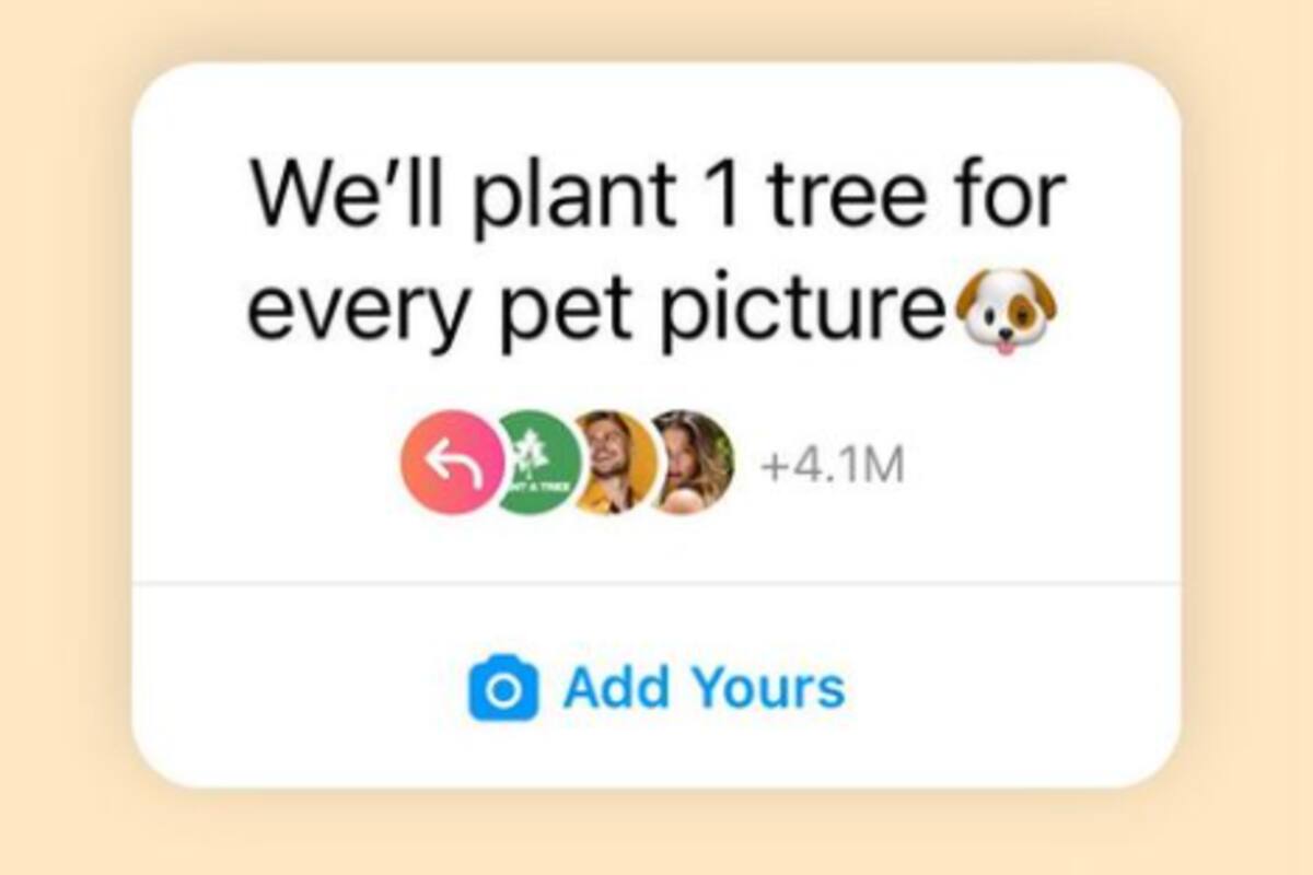 La iniciativa de plantatree.co en Instagram