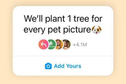 La iniciativa de plantatree.co en Instagram