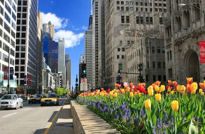 La iniciativa tiene como objetivo revitalizar la icónica avenida Magnificent Mile, un emblema de la ciudad, y brindar una atracción innovadora y diferenciada