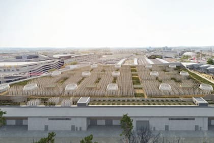 La iniciativa utiliza 14 mil metros cuadrados disponibles en el techo de un centro de exposiciones en París y prevé producir 1000 kilos diarios de verduras y frutas en 2020