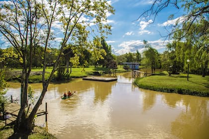 La inmensidad del verde y el río