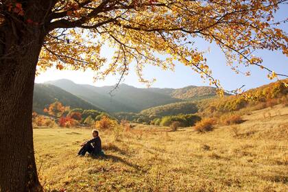 La inmersión en un ámbito natural es una experiencia cada vez más inusual en la vida urbana de hoy