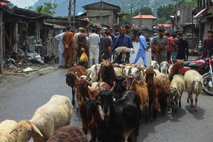 La inquietud persiste en Cachemira pese al alto el fuego entre India y Pakistán