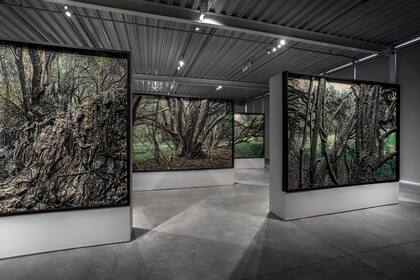 La instalación de Mondongo, exhibida en Malba Puertos