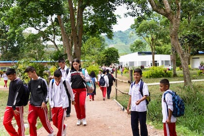 La Institución Educativa Municipal Montessori sede San Francisco de Colombia es una de las tres finalistas en el World’s Best School Prize