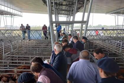 La institución invita a los productores ganaderos a sumarse enviando animales al remate, donando un animal o un porcentaje de la venta