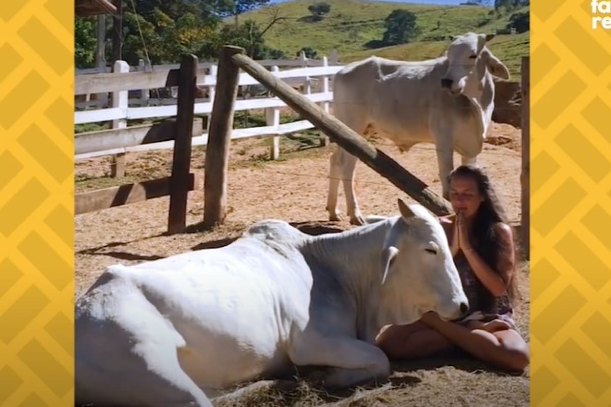 La instructora de yoga generó un vínculo muy fuerte con el animal.