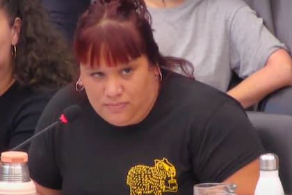 La integrante del Frente Patria Grande y diputada nacional de Unión por la Patria (UxP), Natalia Zaracho