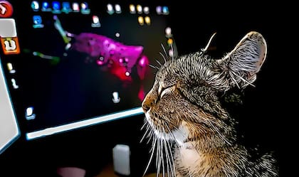 La Inteligencia Artificial avanza rápidamente en diferentes temas y ámbitos