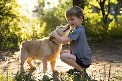 La inteligencia artificial recopiló información sobre qué razas de perro se adaptan mejor a los niños