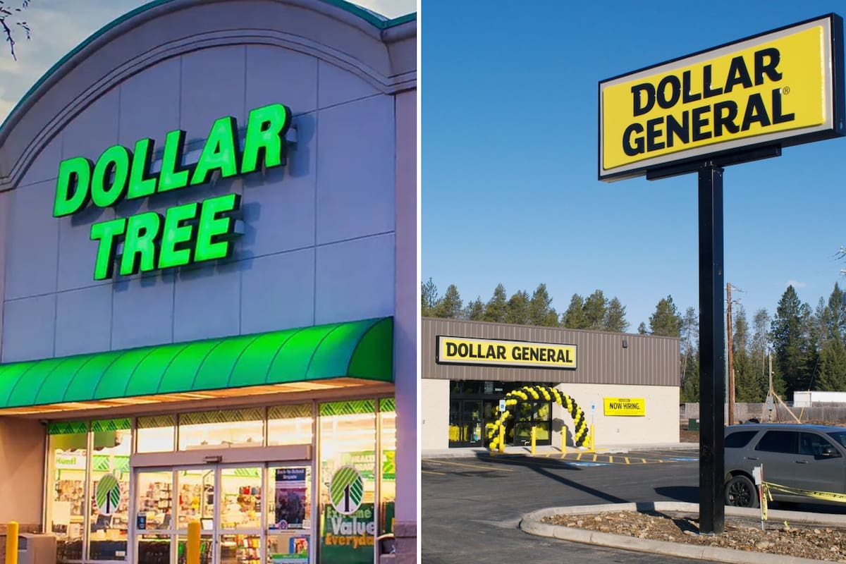 La inteligencia artificial reveló por qué Dollar General es una cadena de descuentos más económica y variada que Dollar Tree