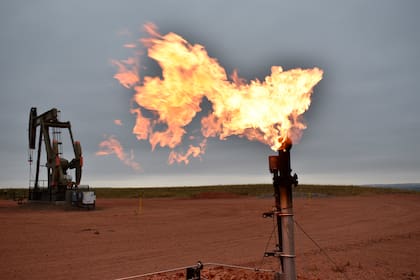 La inteligencia artificial se está convirtiendo en una aliada de la lucha contra el cambio climático