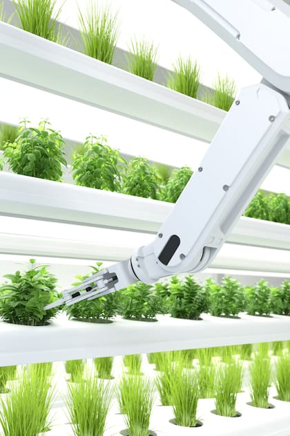 Inteligencia artificial aplicada a la jardinería