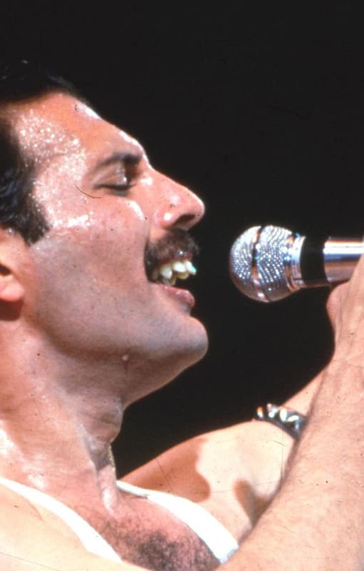 Con Freddie Mercury, Queen se presentó en la Argentina entre febrero y marzo de 1981