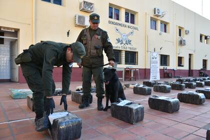 La intervención del can detector de narcóticos “Tango” fue clave: el animal marcó el sector del acoplado