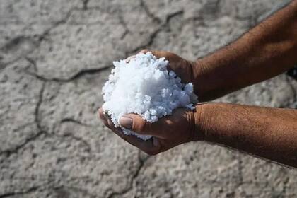 "La intrusión de agua salada es un ejemplo perfecto de una crisis climática de evolución lenta", dice el geólogo Robert Young