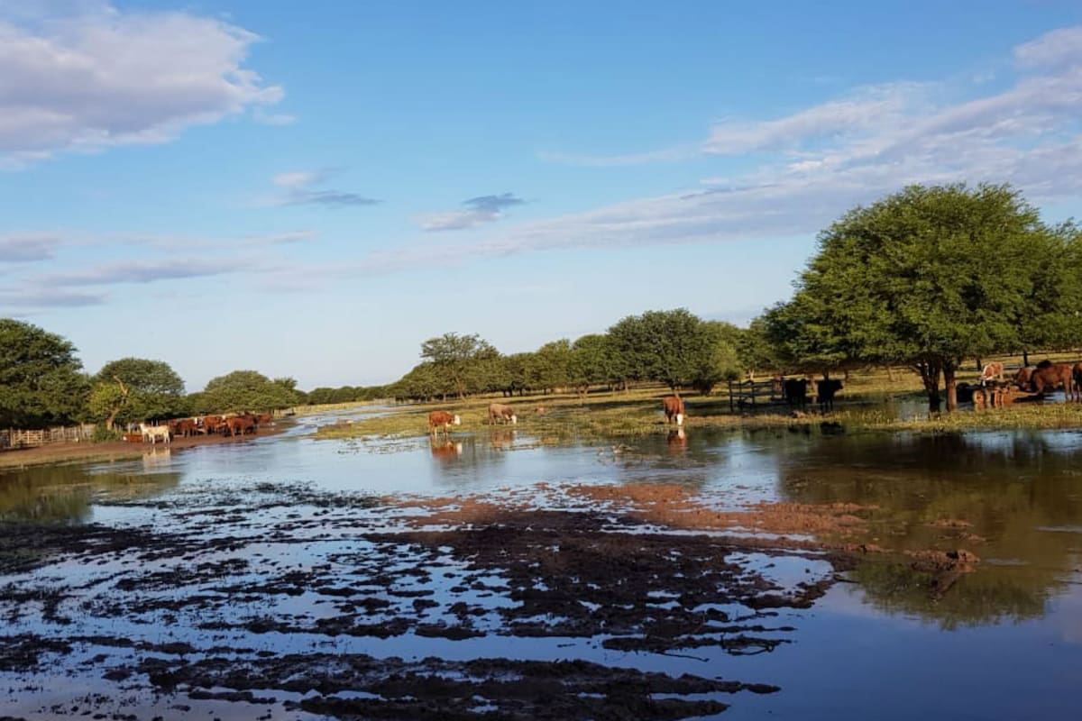 La inundación también afecta a la hacienda