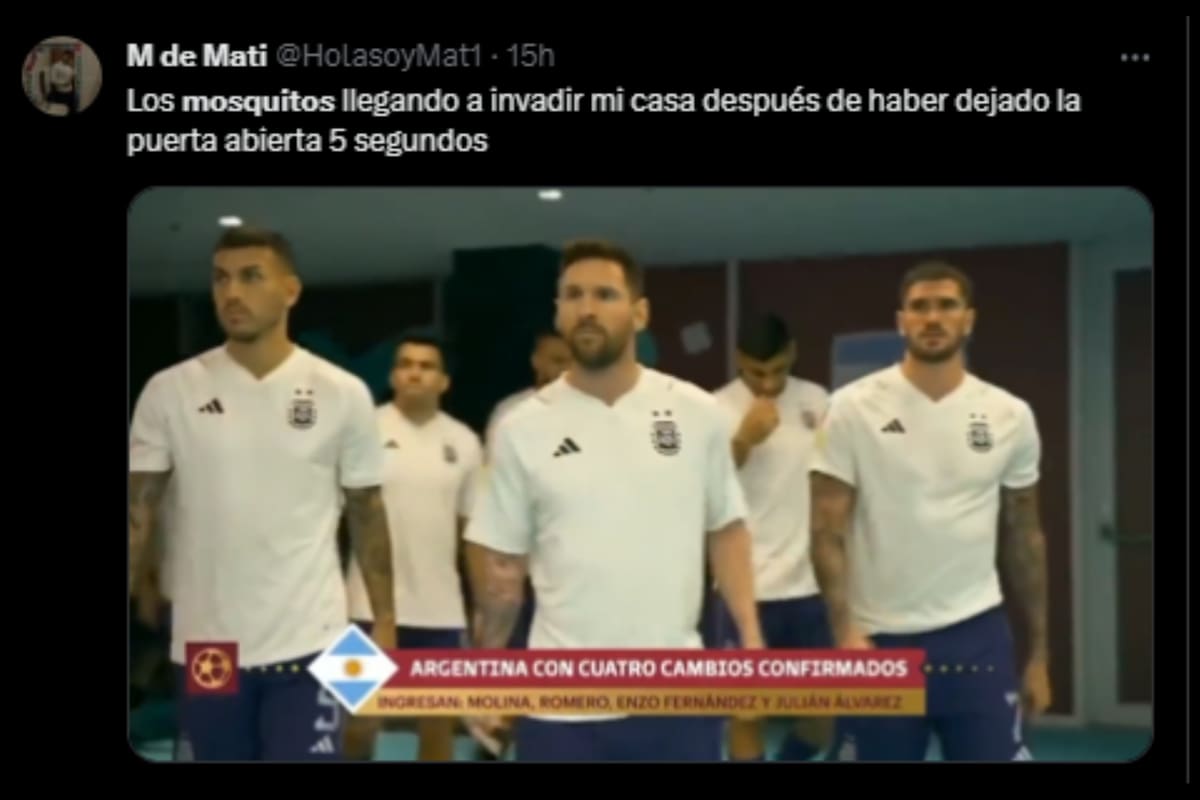 La invasión de mosquitos en el AMBA fue representada con memes en las redes sociales (Captura X)