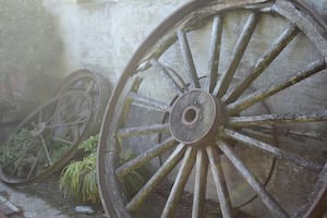La invención de la rueda es un misterio que lleva años, pero los científicos se acercan a la respuesta