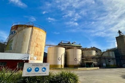 Invertirán US$100 millones para reactivar una histórica planta de molienda de girasol