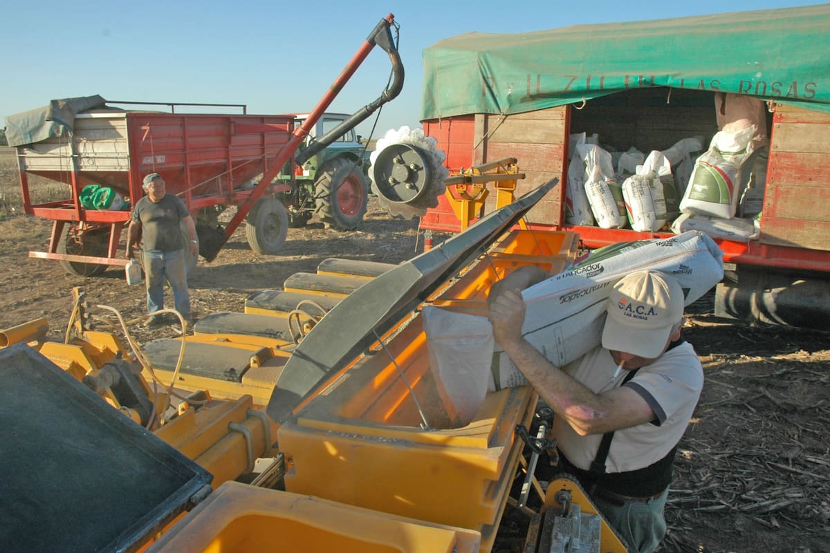 La inversión en fertilización da sus frutos