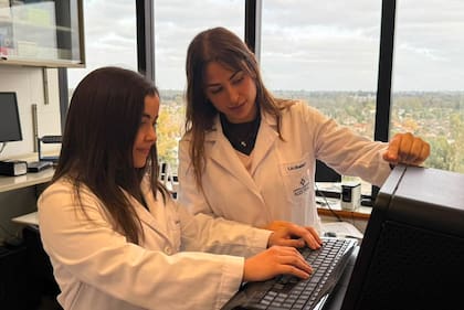 La investigación busca ampliar la cantidad de pacientes con cáncer de hígado que podrían beneficiarse de la inmunoterapia