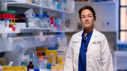 La investigación científica de Carola Vinuesa arrojó nueva evidencia a favor de Folbigg.