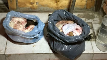 La investigación policial mediante vistas fotográficas, seguimientos y filmaciones permitió establecer que en la vivienda ingresaban en forma habitual diferentes animales en jaulas