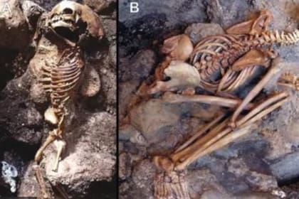 La investigación reveló cómo murieron los habitantes de Herculano