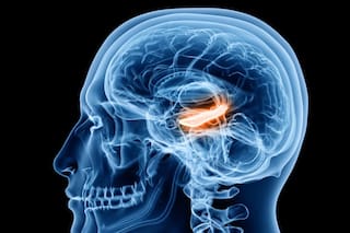 La pista inesperada que podría ayudar a retrasar el deterioro cognitivo