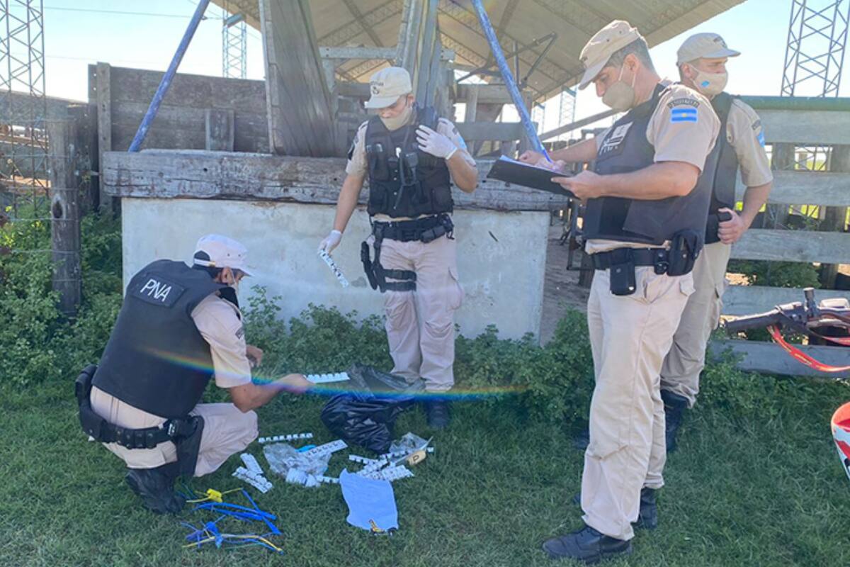 La investigación se inició en 2017 a raíz de una denuncia del Senasa por los reiterados incumplimientos sanitarios de un acopiador equino, quien destina sus animales para faena