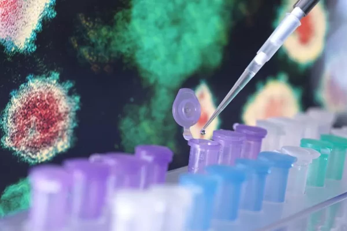 La investigación y los buenos resultados patentados llevaría a la Argentina a obtener más ingresos en dólares