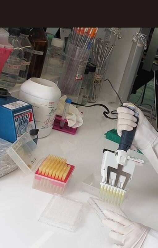 La investigadora del Conicet, Daniela Castillo, es doctora de la Universidad de Buenos Aires y licenciada en ciencias biológicas. También posee un MBA en la universidad de San Andrés