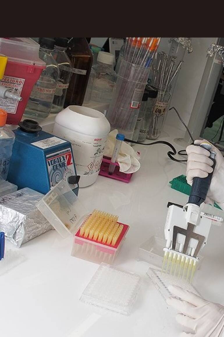 La investigadora del Conicet, Daniela Castillo, es doctora de la Universidad de Buenos Aires y licenciada en ciencias biológicas. También posee un MBA en la universidad de San Andrés