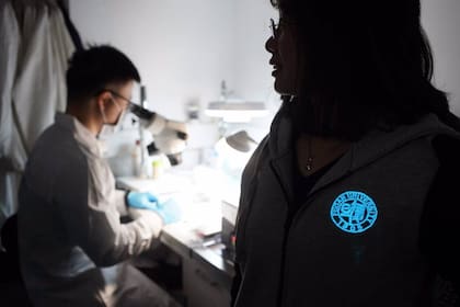 La investigadora muestra una insignia hecha del nuevo material activo luminiscente que ha sido incorporada a su abrigo