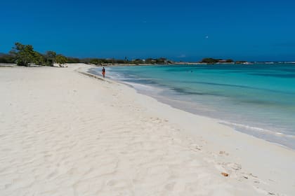 La isla de Aruba está ubicada a 25 kilómetros de la costa venezolana y a ocho horas en avión desde Chile