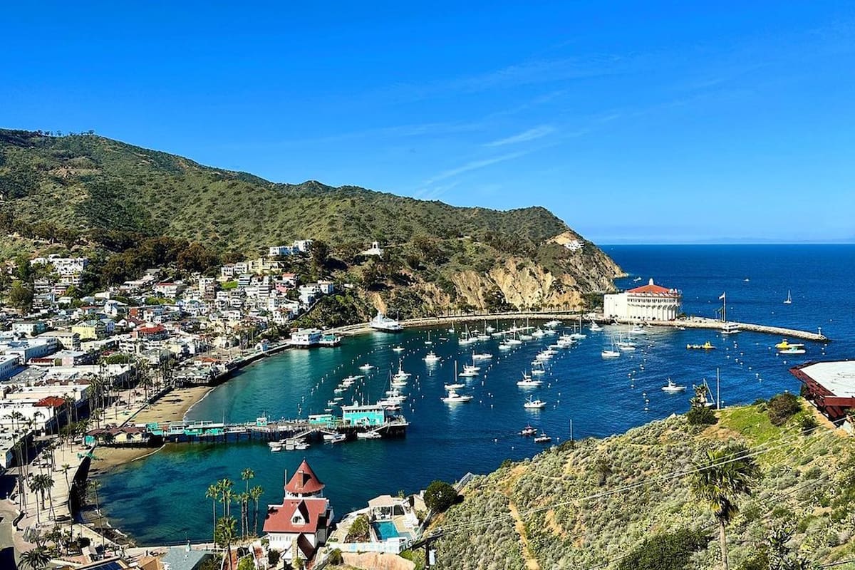 La isla de Santa Catalina se ubica a poco más de una hora en ferry de Los Ángeles